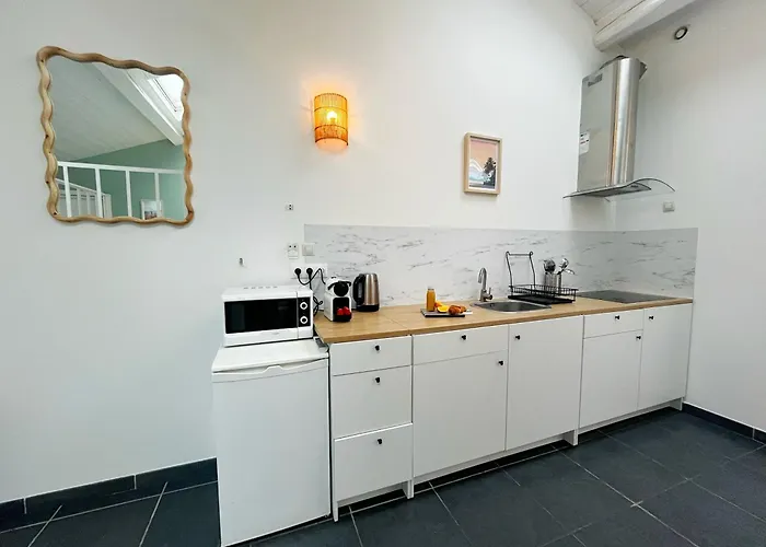 Palmsprings Apartment Villeurbanne